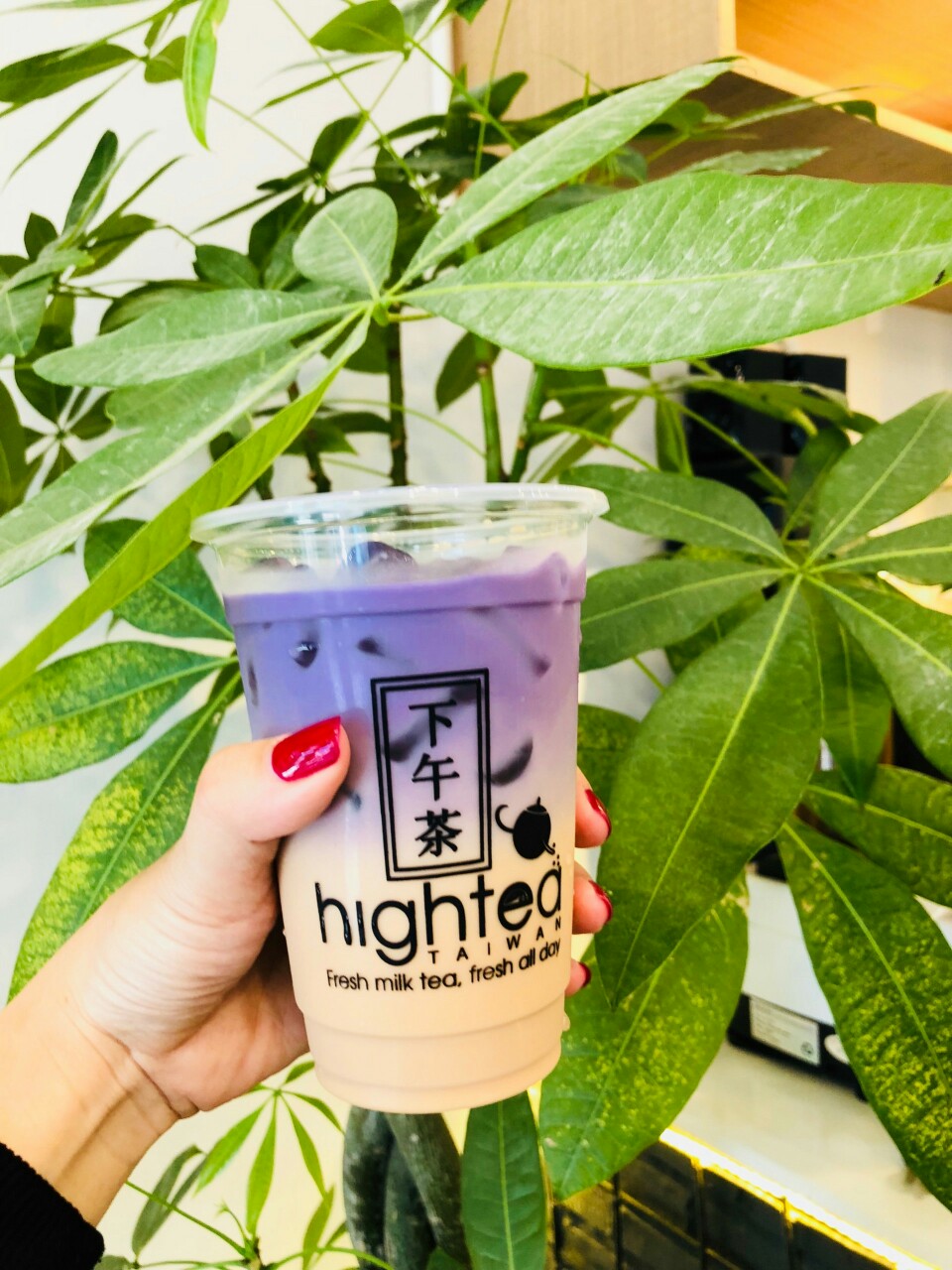 Ly Nhựa PP 500 ml ( Ø 95 )